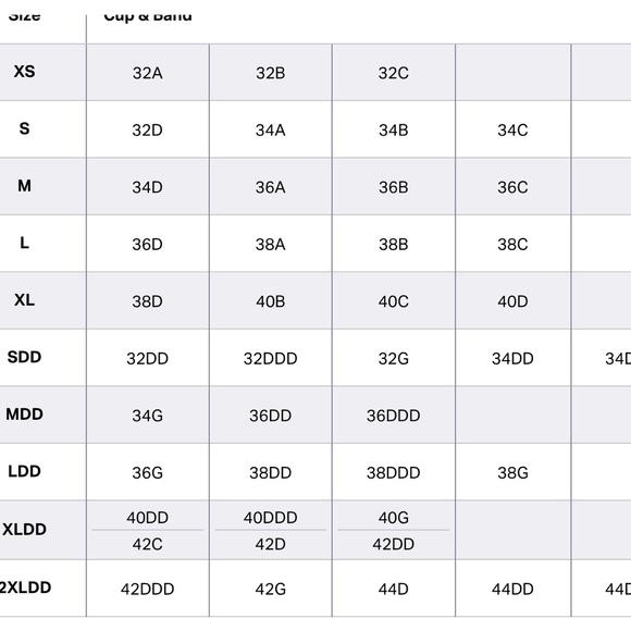 EBY Fallen Rock Relief Bra NWT - Picture 5 of 5